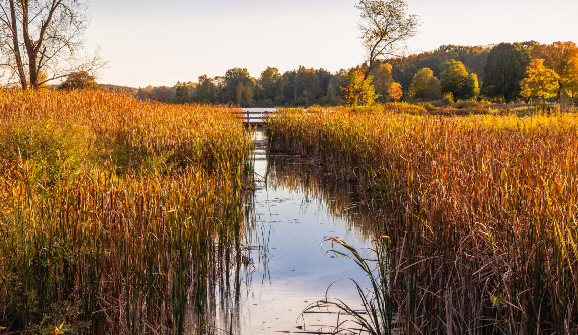 10 Essential Tips for Beginner Photographers