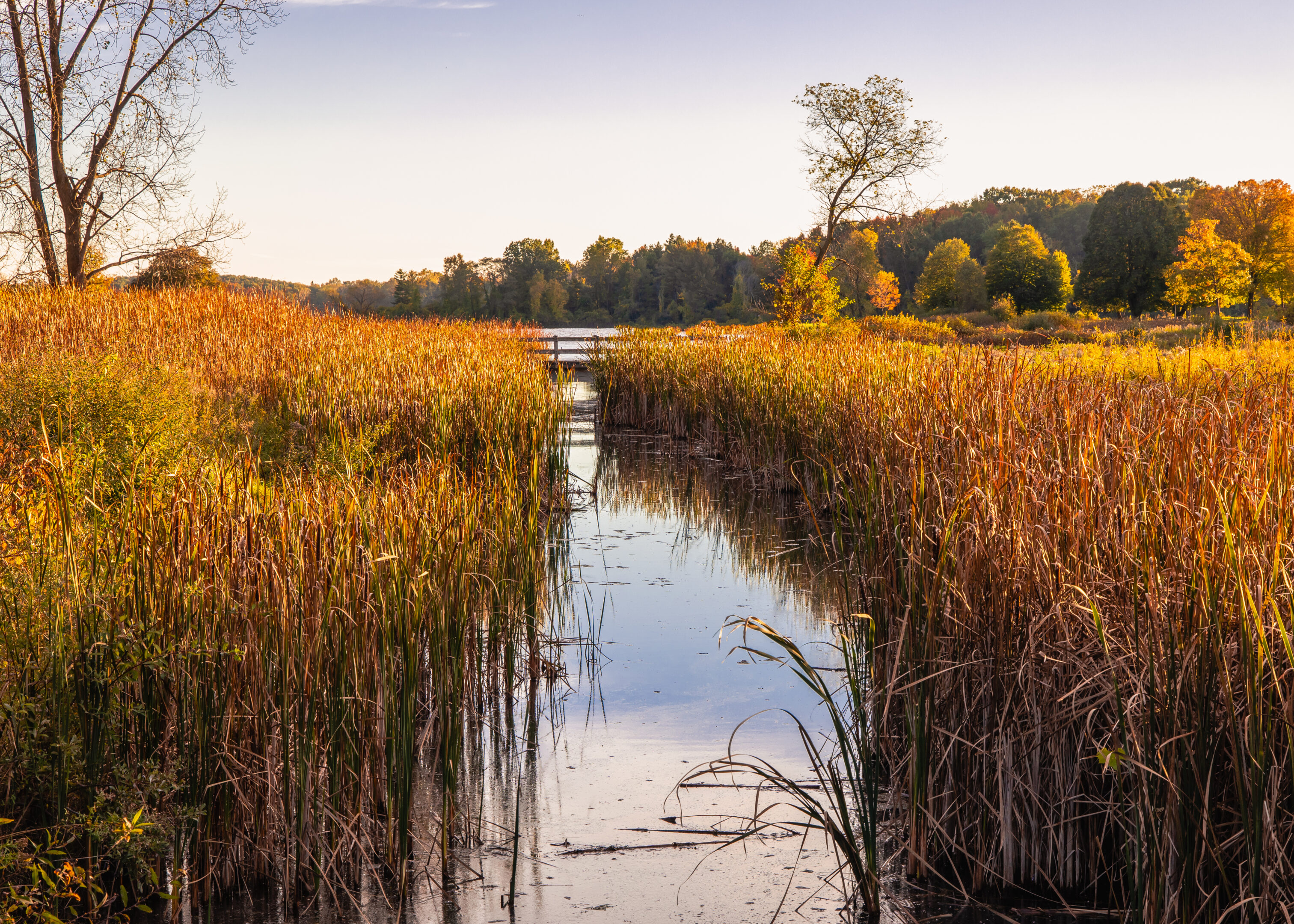 Fall Lake